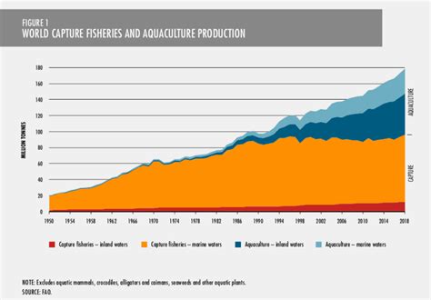 魚量|FAO『世界漁業・養殖業白書2020』にみる世界の水産動向